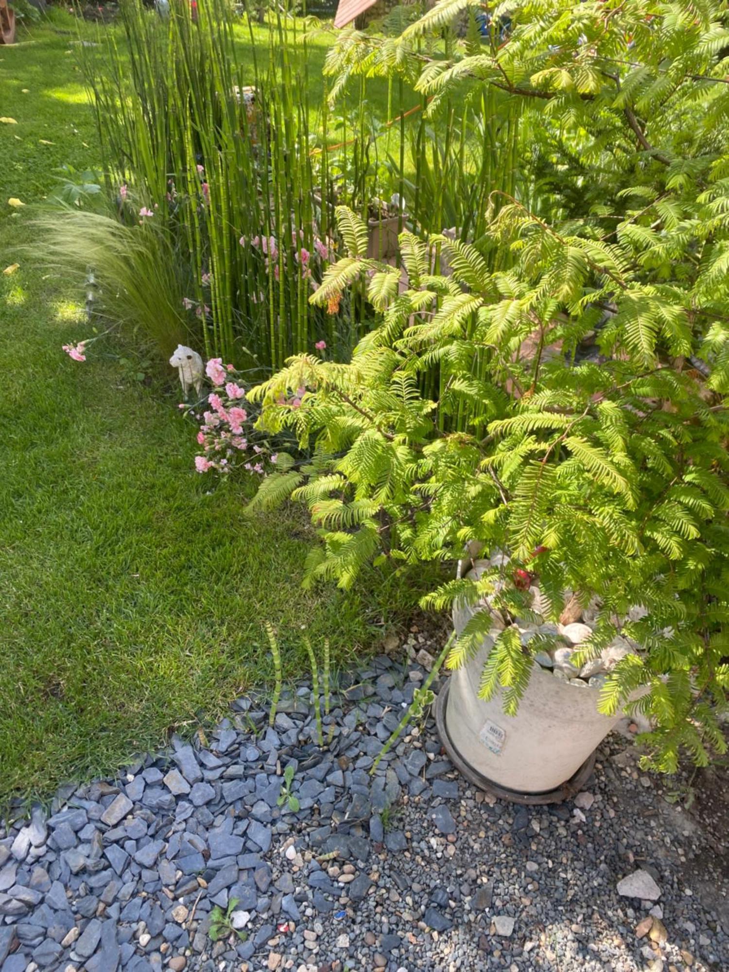 Gite En Pierre Le Paradis Parc Cloture Jacuzzi 5 Places Piscine Au Perigord Pourpre 9Km De Bergerac Saint-Aubin-de-Lanquais Εξωτερικό φωτογραφία